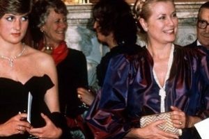 《斯宾塞：dai an na王妃的坚毅和勇气》