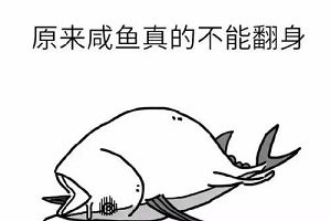 《咸鱼哥》：阿里云文件夹驱动程序，实现文件夹同步、备份和共享