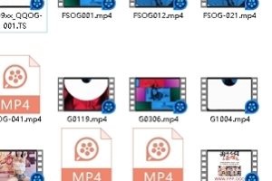FSOG001粉色情人16部合集16v13.8g百度盘