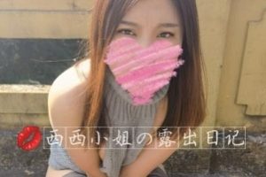 特殊癖好胖臀少妇-西西野外商场胖臀[27V506M]