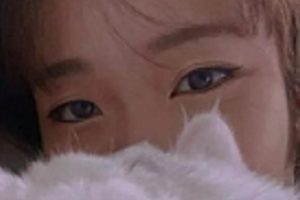 爆裂黑丝玩偶姐姐