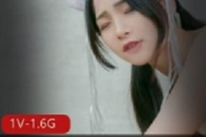 精选五女神厨娘春梦商品-狂热人气收藏品