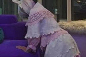 康纳COS小女仆视频，粉丝福利，2个版本，1.9G大小，想象猥琐下载