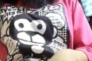 宿舍小娥：偷偷自玩合集33v9.7g，百度收藏