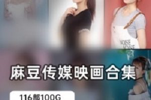 高清中文配音116部某传媒系列电影100G太诱人了