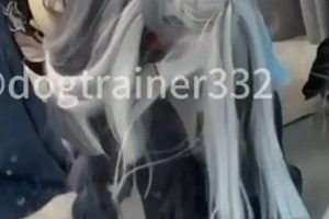 推藤原yuki5min申鹤1v60m劲爆