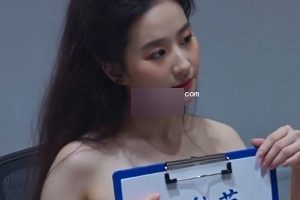 刘诗诗刘亦菲中秋AI换脸视频27部27M高能预警