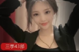 快手西梅43V饕餮版43G像素艺术