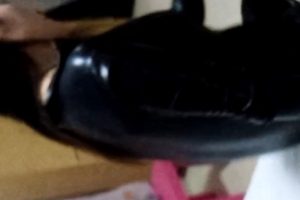 推特伪娘合集58部111G优质